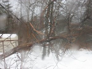 IMG_1919 Medium Web view.jpg