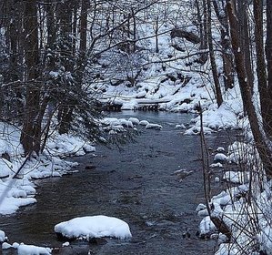 Buffalo Creek.001.JPG Buffalo Creek.001.JPG