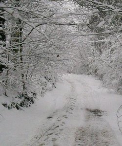 Field rd .01.JPG Field rd .01.JPG