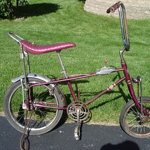 screamer 003 (1024x768).jpg