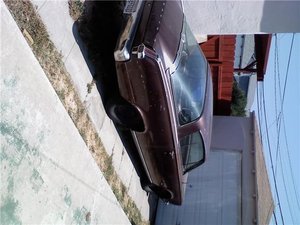 barracuda.jpg barracuda.jpg