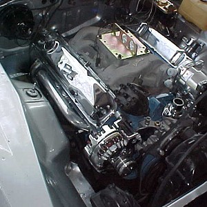 barracuda progresses slowly