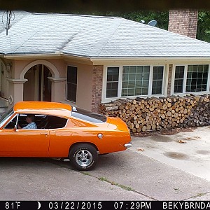 game cam catches orange fish