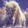 TheWhiteBuffalo