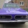 cuda steve