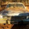1974duster225